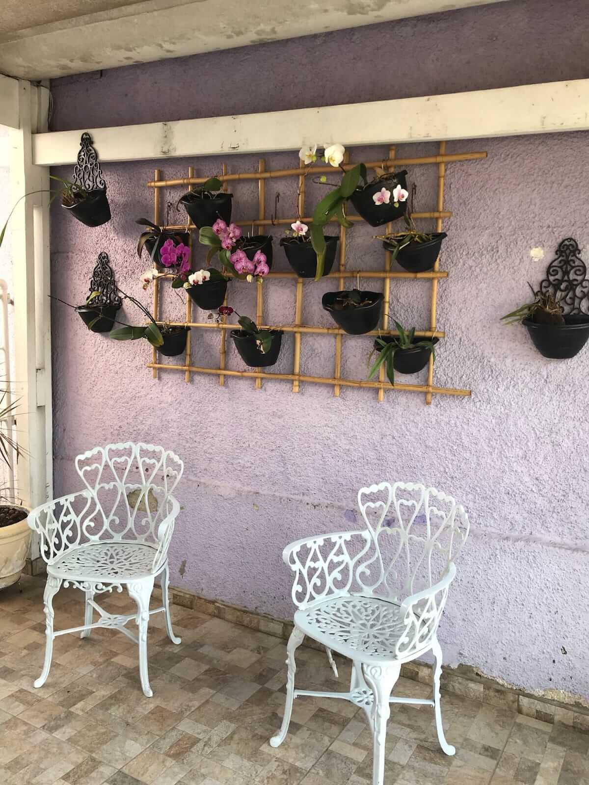 Área externa com jardim vertical e cadeiras decorativas